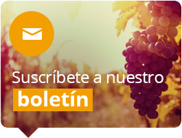 Actualidad y el mundo del vino en Wine to you